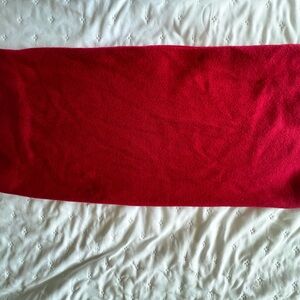 Express Red Skirt